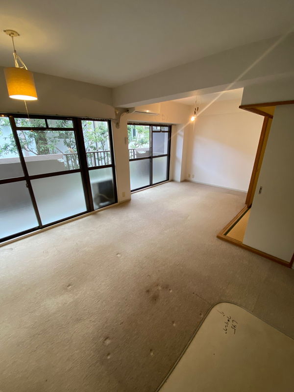 Before画像